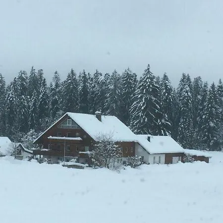 Charming In Weiler- Simmerberg Apartment *