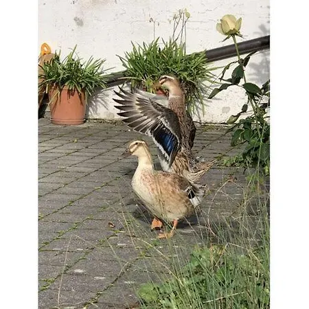 Charming In Weiler- Simmerberg * Weiler-Simmerberg
