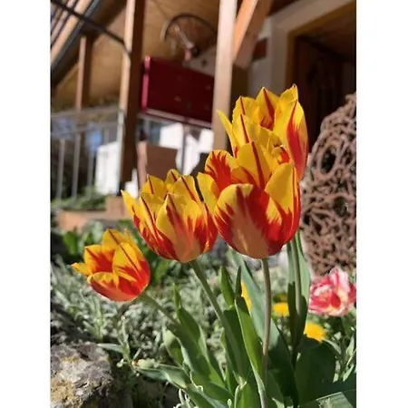 Apartment Charming In Weiler- Simmerberg